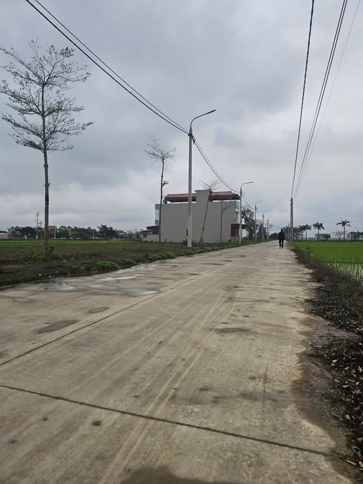 Đất giãn dân Thái Dương Bình Giang 110m² giá chỉ 1 tỷ - Cơ hội đầu tư hấp dẫn!