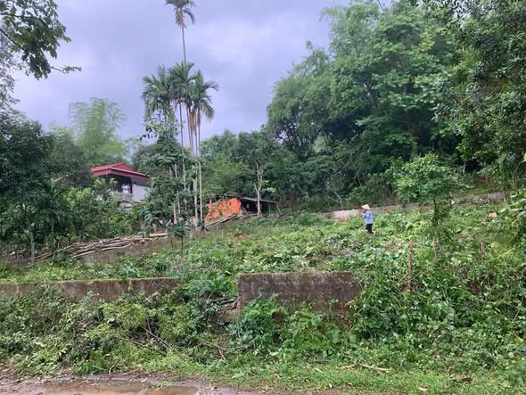 Đất thổ cư 482m² phường Tân Hòa, Hòa Bình giá 1 tỷ - Đầu tư sinh lời lý tưởng!