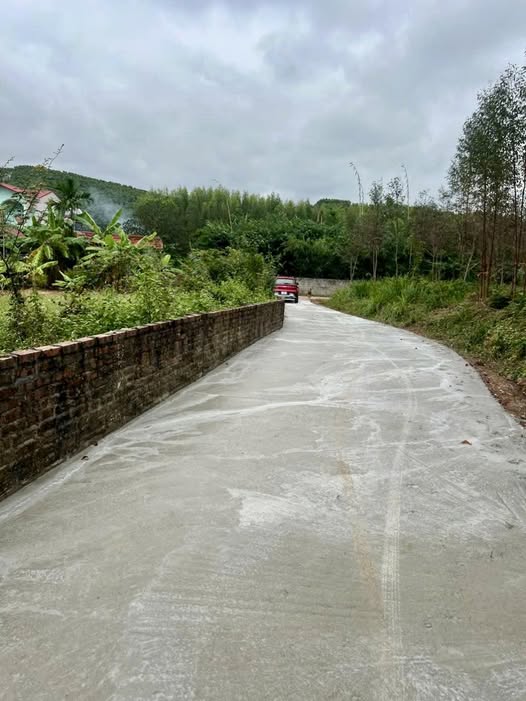 Đất nền Tiên Nha Lục Nam 163m² giá 290 triệu - Sổ đỏ chính chủ ngay!