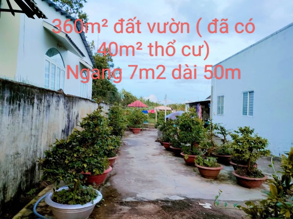 Đất vườn 360m² mặt tiền Đinh Công Chánh, Bình Thủy - Tiềm năng kinh doanh lớn!