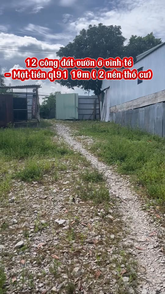 Farm Vĩnh Tế, Châu Đốc 12,000m² giá 8 tỷ - Đầu tư sinh lời ngay!