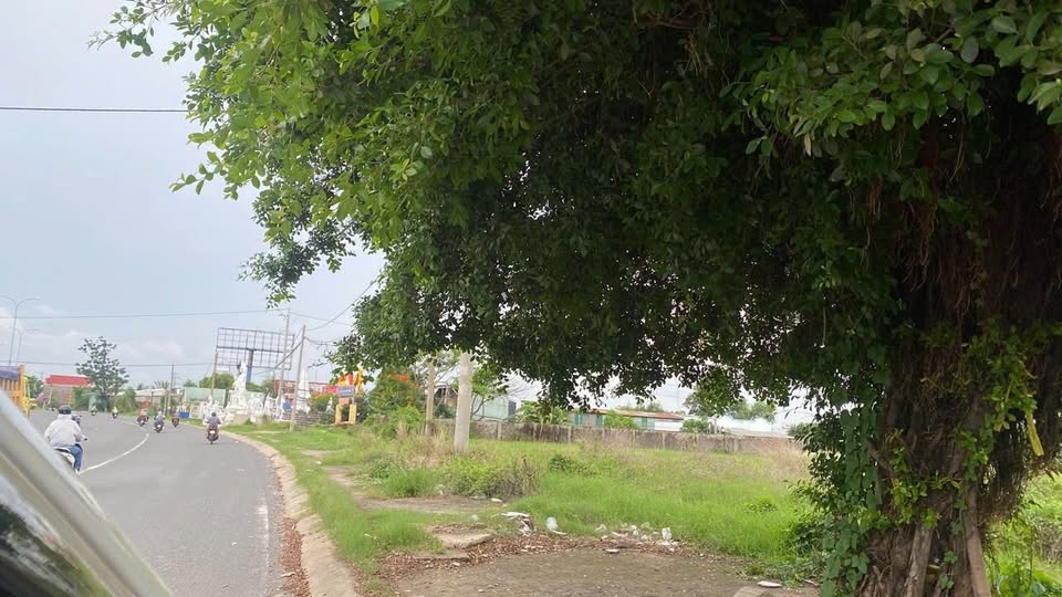 Đất mặt tiền Quốc lộ 51, Tân Hải, Phú Mỹ 190m² - Vị trí đẹp, kinh doanh đa ngành!