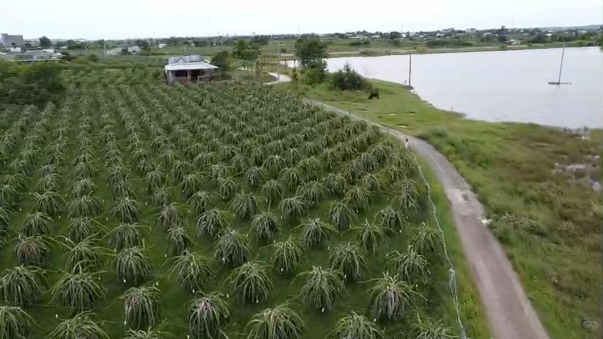 Đất thổ cư 1440m² tại Hàm Liêm, Bình Thuận - View hồ tuyệt đẹp, giá 1.45 tỷ!