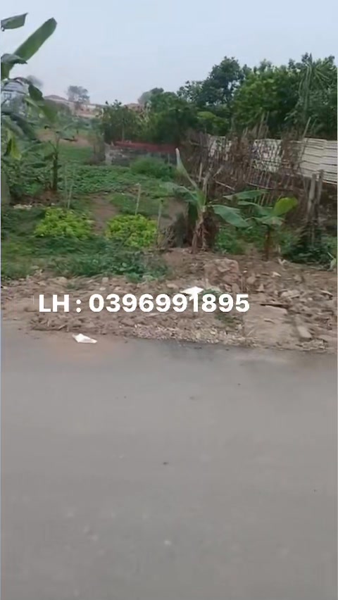 Đất nền 200m² tại Quảng Lãng, Ân Thi - Sổ đỏ chính chủ, giá tốt bất ngờ!