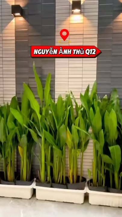 Nhà đẹp Hẻm 973 Nguyễn Ảnh Thủ, Quận 12, 54m² giá chỉ 6.4 tỷ - Đầu tư sinh lời!