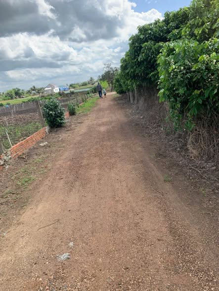 Đất thổ cư 5 sào tại Ninh Thành 2, Ea Kar - Tiềm năng đầu tư lớn!