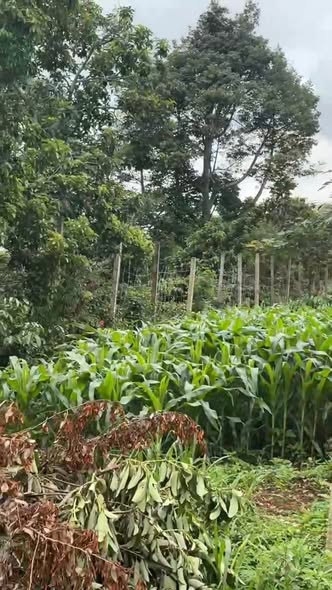 Đất nền Phú Xuân 380m² giá 700 triệu - Chính chủ bán gấp!