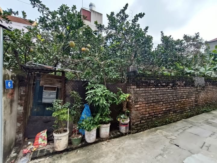 Đất Thượng Cát 66.6m² giá 6.6 tỷ - Vị trí phát triển mạnh mẽ!