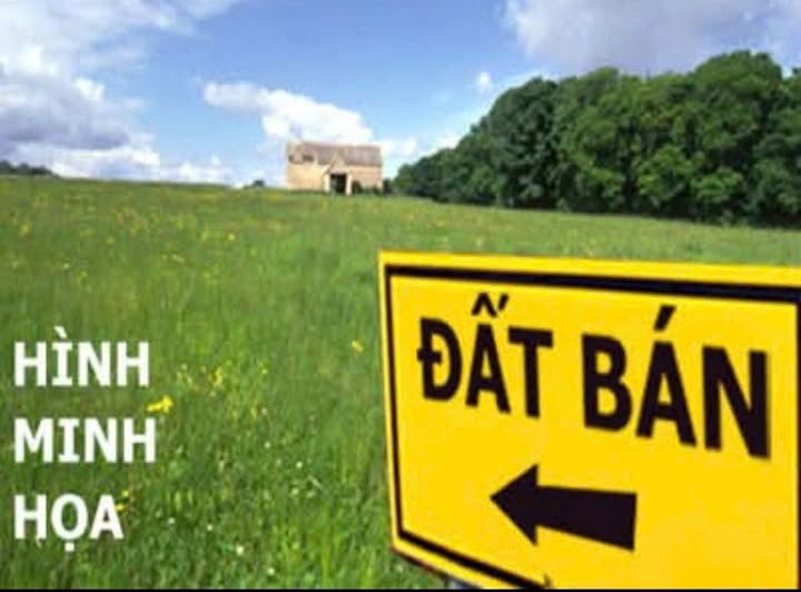 Đất nền thổ cư tại thôn Tân Mỹ, Phước Hòa, 70m² - Giá chỉ 250 triệu VND