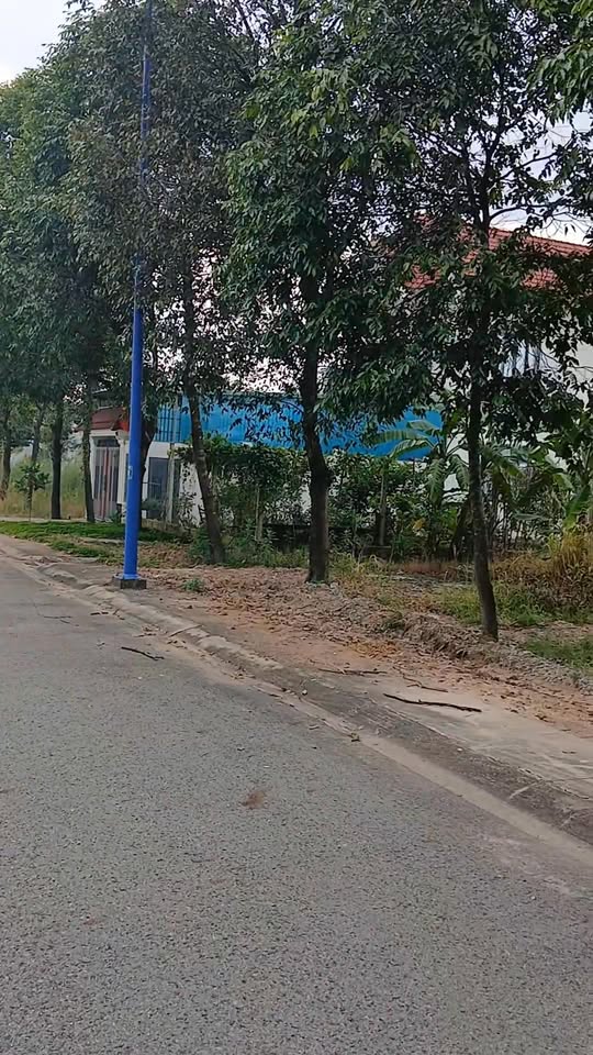 Bán lô đất 155m² Mỹ Phước 4, Bình Dương - Giá chỉ 1.95 tỷ!