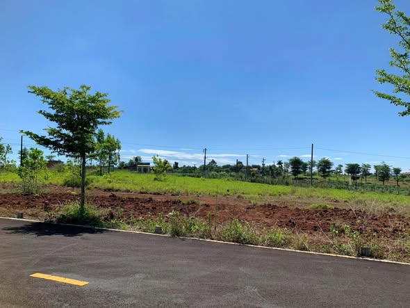 Đất nền Park Hill P2 Bảo Lộc 102m² giá chỉ 600 triệu - Cơ hội đầu tư tuyệt vời!