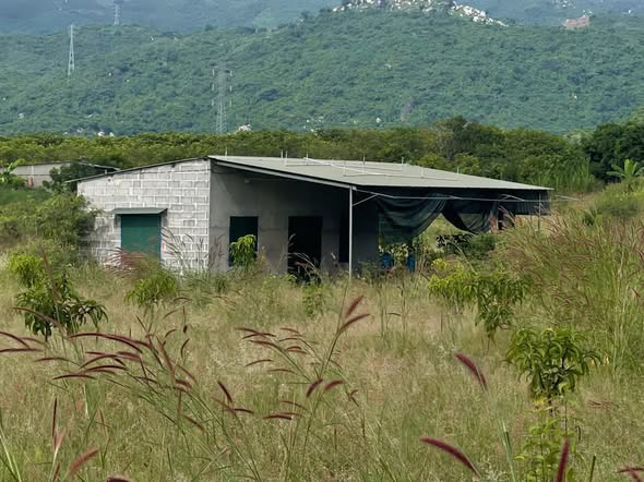 Đất lô góc Cam Hiệp Nam 3865,5m² giá 1.7 tỷ - Đầu tư sinh lời ngay!