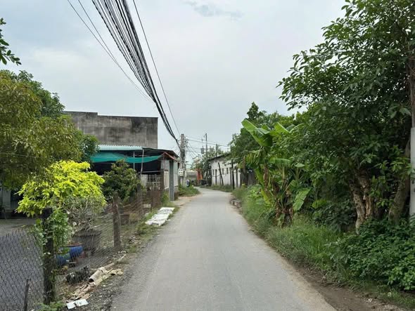 Đất thổ cư 104m² tại Thanh Hiệp, Bến Lức - Giá 1.3 tỷ, sổ đỏ chính chủ!