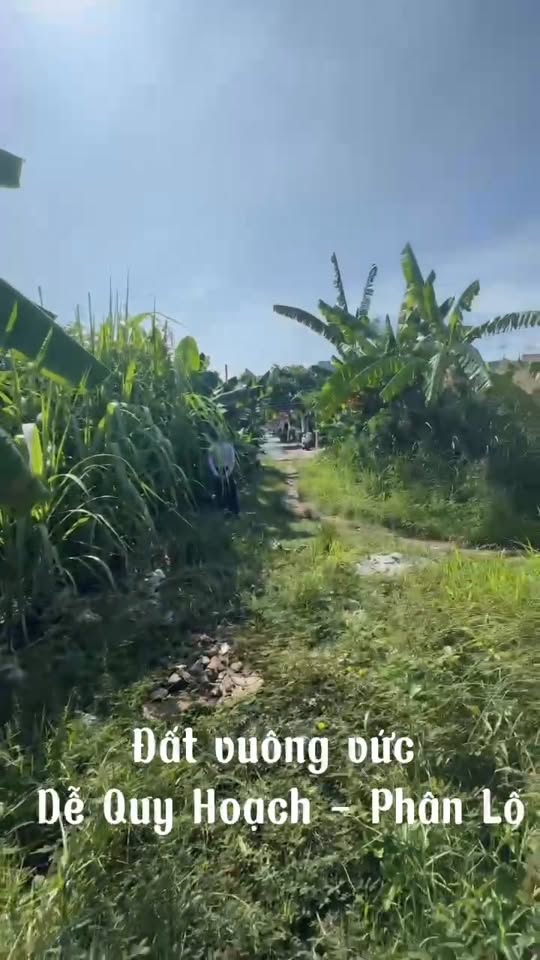 Đất nông nghiệp hẻm 4m Nguyễn Gia Thiều, Vũng Tàu 1000m² giá 5 tỷ - Đầu tư sinh lời cao!