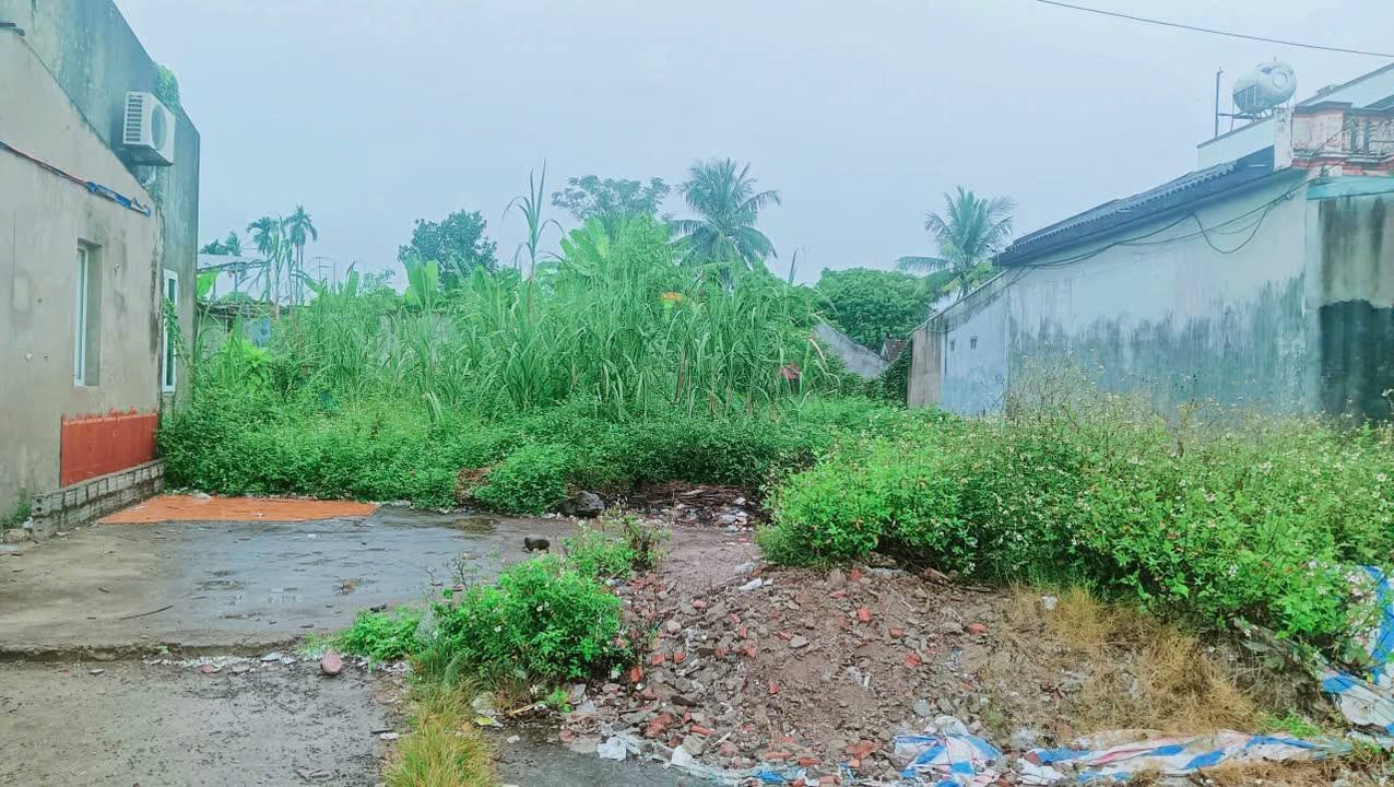 Lô đất 2 mặt tiền xã Yên Hùng, huyện Yên Định 177m² - Giá cực sốc!