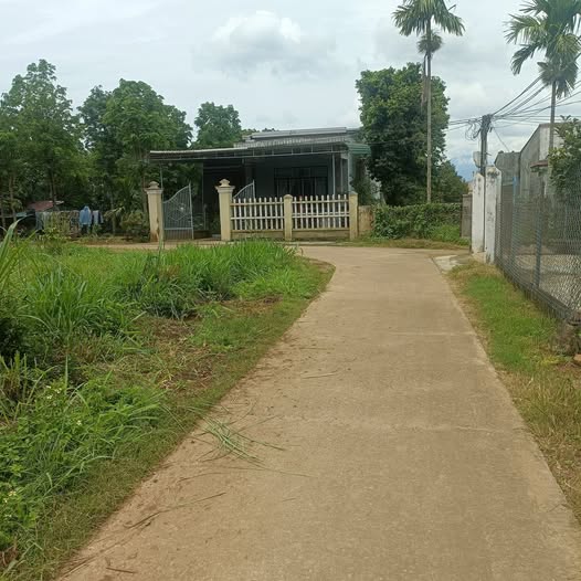 Đất nền tại thôn 2, xã Tân Tiến, huyện Krông Pắc 432m² giá 2 tỷ - Đầu tư sinh lời ngay!