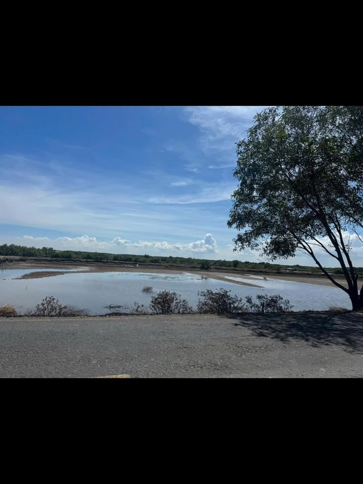 Đất Thạnh Phước, Bình Đại 12,600m² giá 9 tỷ - Cơ hội đầu tư hấp dẫn!