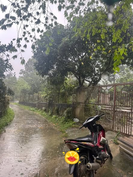 Đất nền Yên Kỳ, Hạ Hòa 700m² giá 1 tỷ - Đầu tư sinh lời dễ dàng!