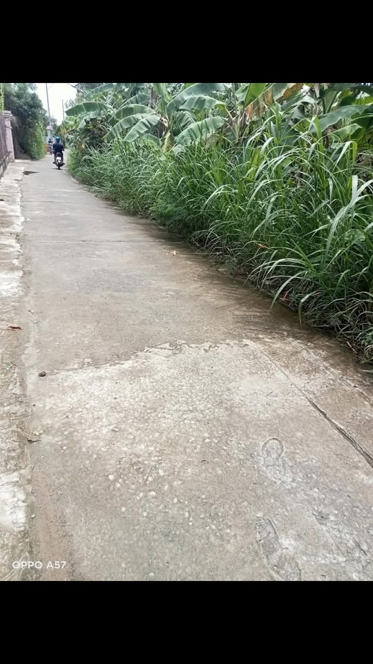 Đất nền Thạnh Phước, Bình Đại, Bến Tre 900m² giá 9.375 tỷ - Mặt tiền đắc địa, xây dựng ngay!