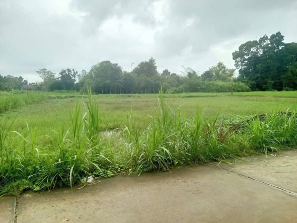 Đất nền Hòa Lợi 1.440m² giá chỉ 1 tỷ - Mặt tiền Quốc lộ 53