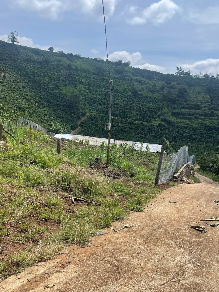 Đất nền Lâm Hà 8000m² giá 2 tỷ - Cơ hội đầu tư hấp dẫn!