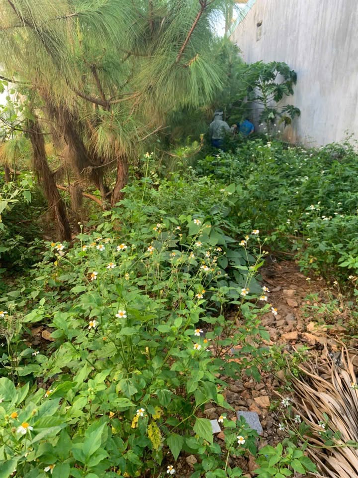 Đất mặt tiền Âu Cơ Đắk Đoa 158.6m² giá 1 tỷ - Đối diện Trường Võ Thị Sáu!