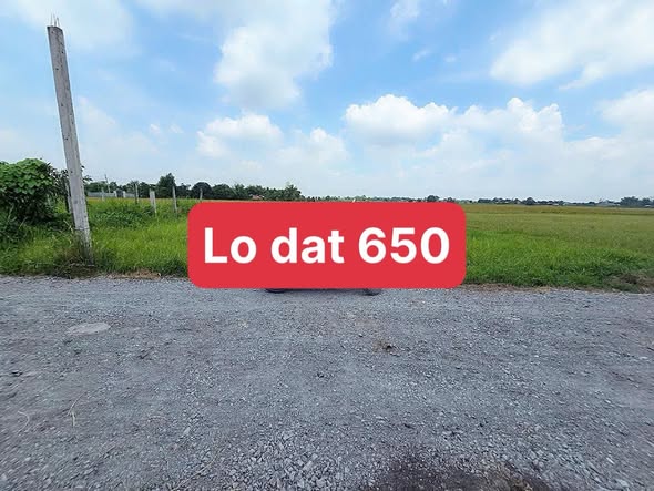 Đất thổ cư 1662m² tại Mỹ Hạnh Nam - Giá chỉ 100 triệu, cơ hội không thể bỏ lỡ!