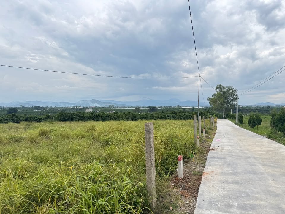 Đất nền thổ cư Đinh Văn 125m² chỉ 289 triệu - Sổ đỏ chính chủ, phong thủy tốt!