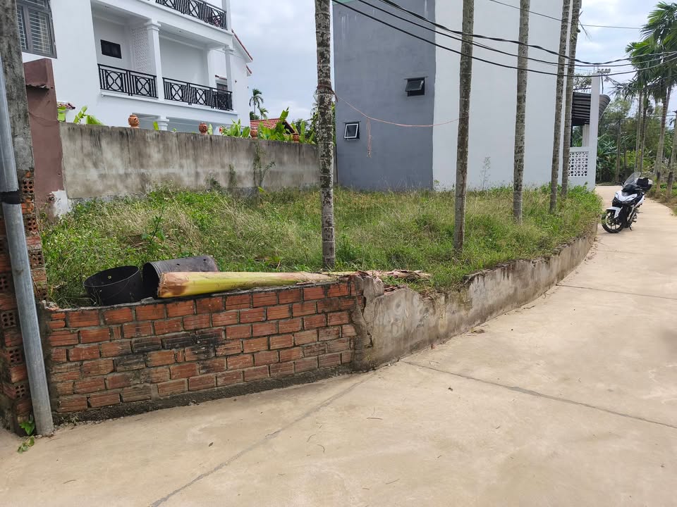 Đất nền Cẩm Thanh Hội An 128m² giá 2.3 tỷ - Thích hợp làm villa, homestay!