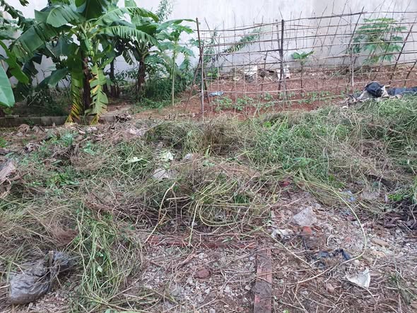 Đất nền Biên Giang, Chương Mỹ 88m² giá 1 tỷ - Đầu tư lý tưởng ngay hôm nay!