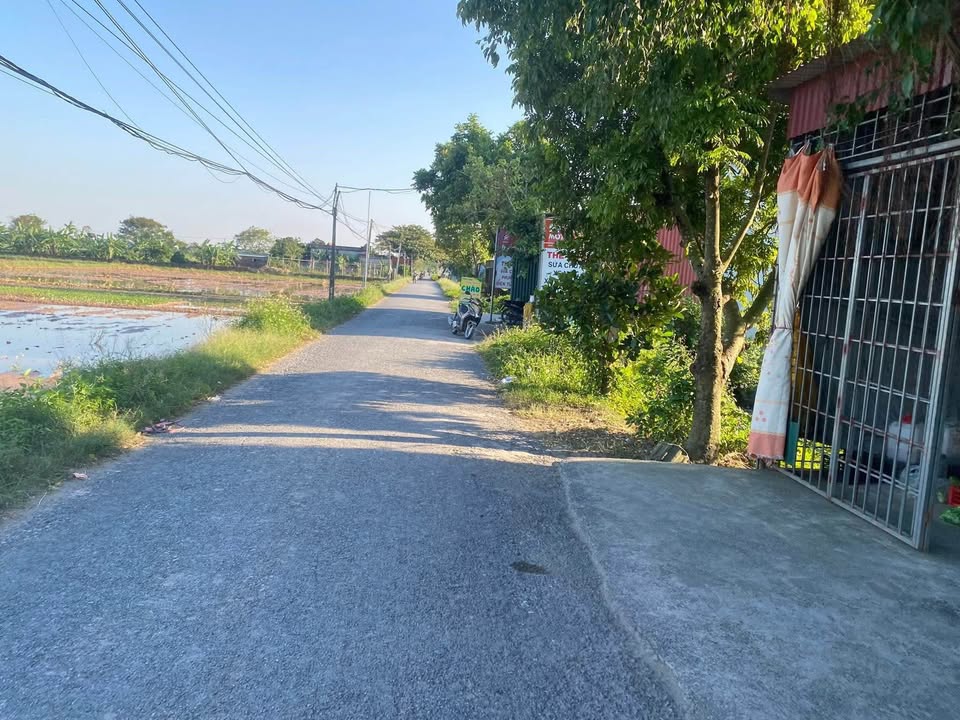 Đất nền Đông Cường, Đông Hưng 300m² giá chỉ 1 tỷ - Cơ hội đầu tư hấp dẫn!