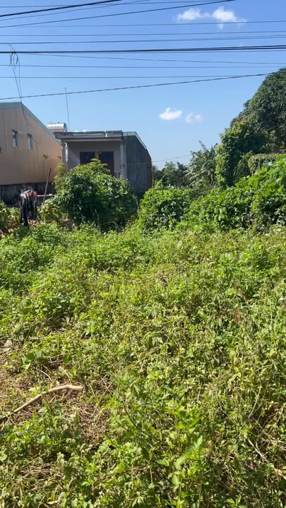 Đất nền Chư Sê, Gia Lai 3243m² - Mặt tiền Quốc lộ 14, cơ hội kinh doanh hấp dẫn!