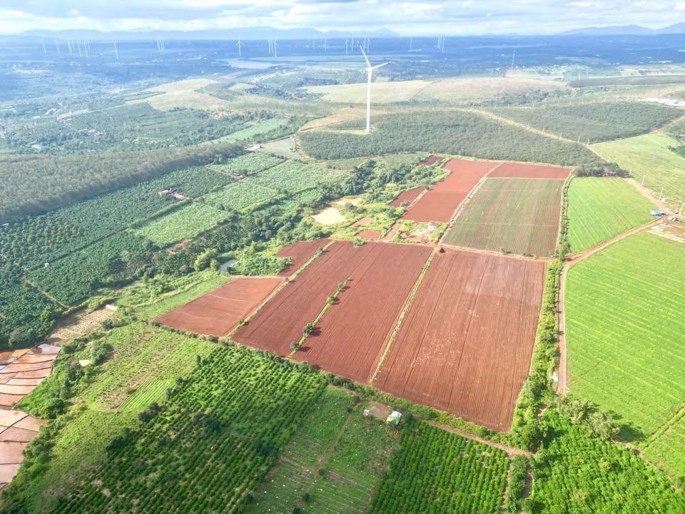 Đất nền Ia Băng, Chư Prông 20,6 ha giá 1,6 tỷ - Tiềm năng phát triển lớn!