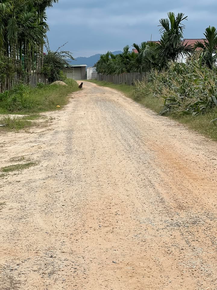 Đất nền Cư Jang 660m² giá 800 triệu - Đầu tư sinh lời ngay tại trung tâm!