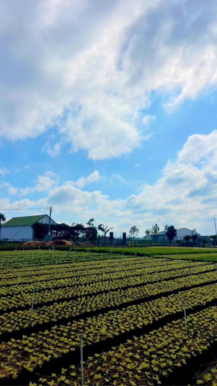 Đất nền khu dân cư Ninh Thanh 2, Ea Kar 2000m² giá 1.8 tỷ - Đầu tư sinh lời ngay!