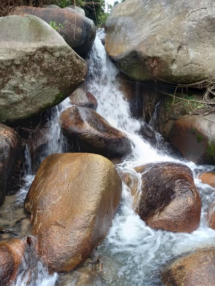 Đất Farm Khánh Vĩnh 1ha9 giá thỏa thuận - Tiềm năng phát triển du lịch sinh thái