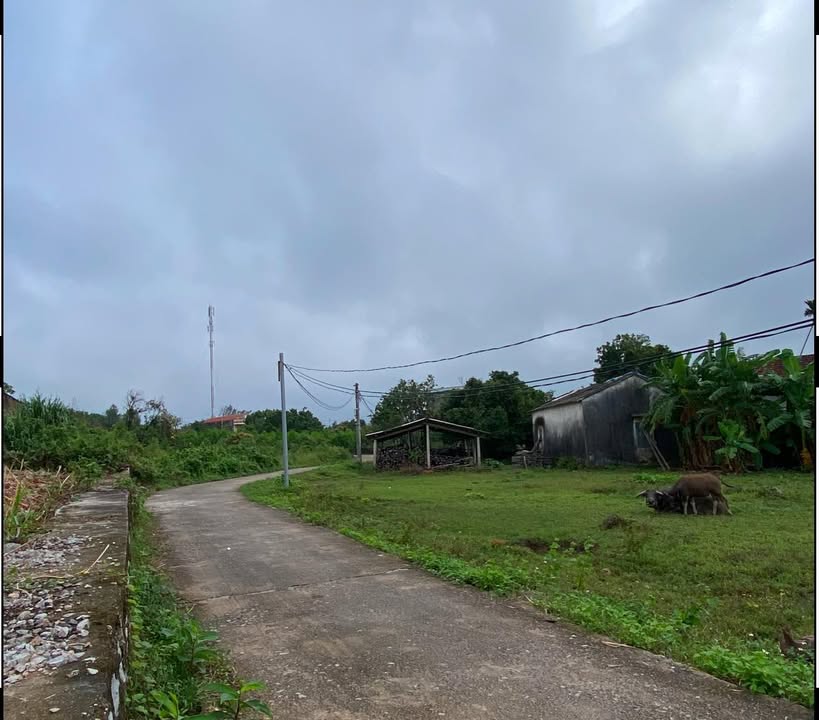 Đất nền Thống Nhất Hạ Long 600m² giá 2.1 tỷ - Hướng Nam, mặt tiền 15m!