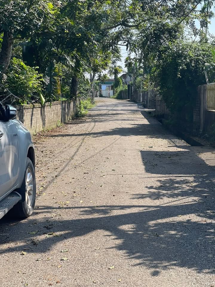 Đất nền Nghĩa Mỹ, Thái Hòa 260m² chỉ 600 triệu - Cơ hội đầu tư hấp dẫn!