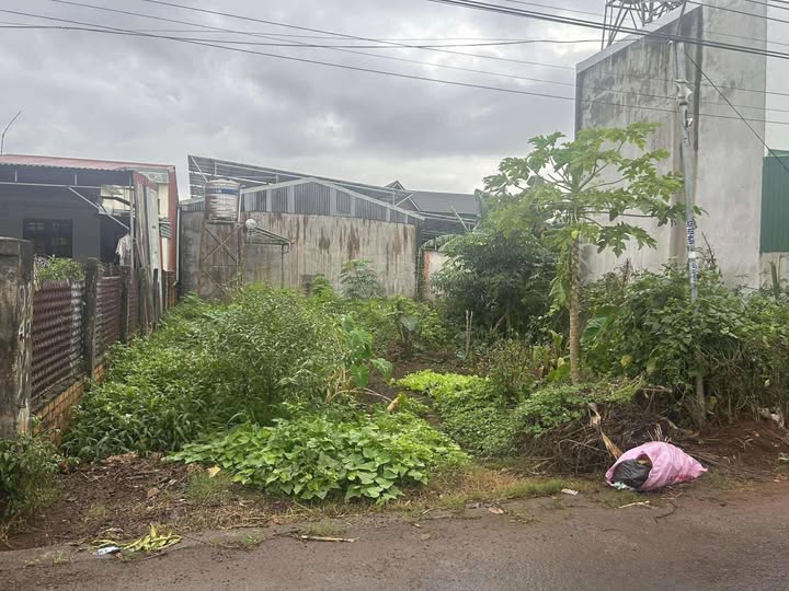 Đất thổ cư 180m² thôn 8, xã Hòa Thắng, Buôn Ma Thuột chỉ 2.55 tỷ - Cơ hội đầu tư tuyệt vời!