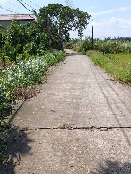 Đất nền Nghĩa Dõng 133m² giá chỉ 500 triệu - Đường thông thoáng, không ngập nước!