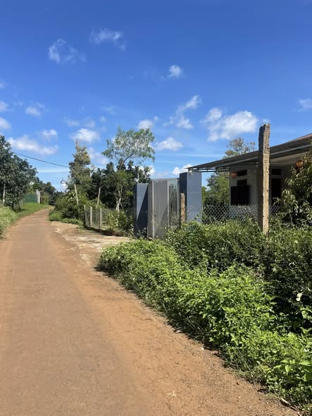 Đất nền Đạt Hiếu, Buôn Hồ 130m² giá chỉ 670 triệu - Mặt tiền đường nhựa thuận lợi!