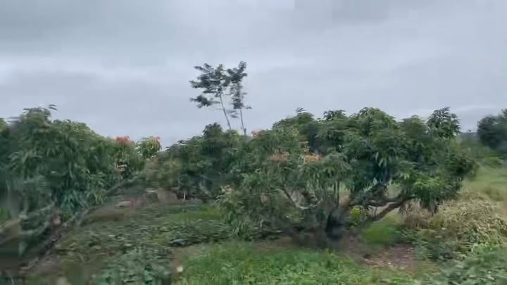 Đất Farm Đồng Cốc Lục Ngạn 9337m² giá 1.15 tỷ - Cần bán gấp!