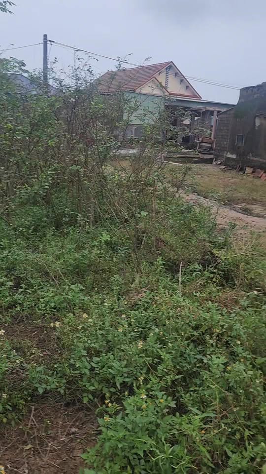 Đất nền Thạch Trị, Thạch Hà 300m² giá chỉ 100 triệu - Đầu tư sinh lời nhanh chóng!