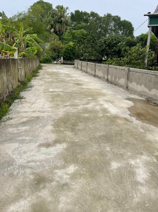 Đất thổ cư Thạch Văn 247m² giá chỉ 1 tỷ - Đường bê tông 7m thuận tiện!