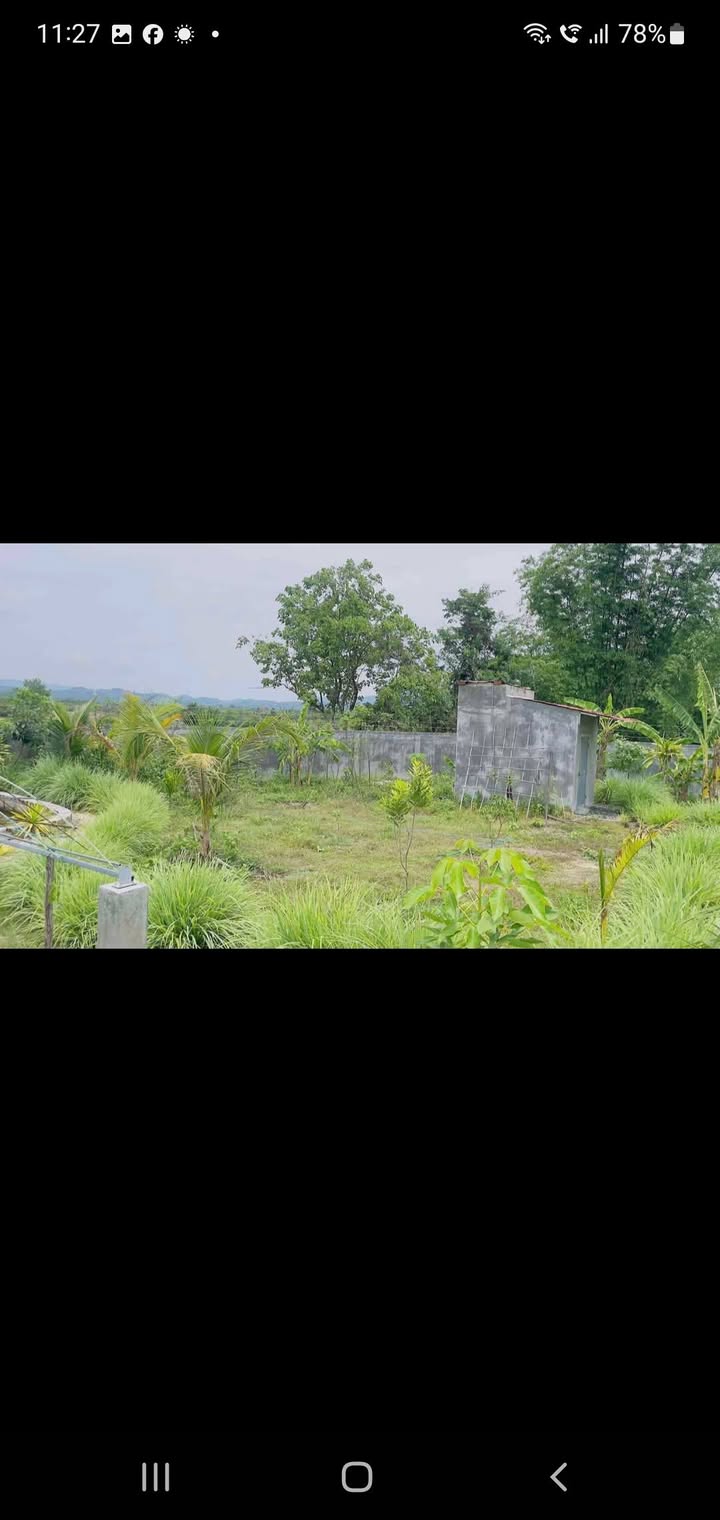 Bán vườn Đào Duy Từ, xã Đăk Blà, 1000m² - Không gian nghỉ dưỡng lý tưởng!