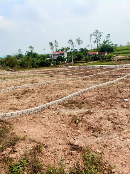 Đất nền xóm 4 Quỳnh Tân 144m² - Bám đường bê tông 7m, giá thỏa thuận!