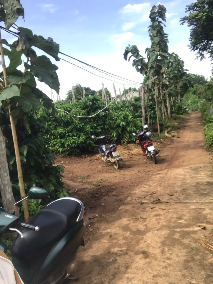 Đất nền Nam Xuân, Krông Nô 720m² giá 2.112 tỷ - Cơ hội đầu tư hấp dẫn!