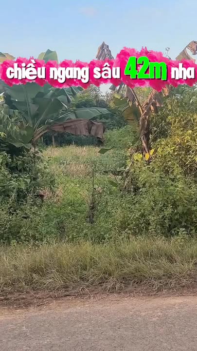 Đất nền Vành Đai Krông Nô 420m² giá 135 triệu - Thích hợp mở kho bãi