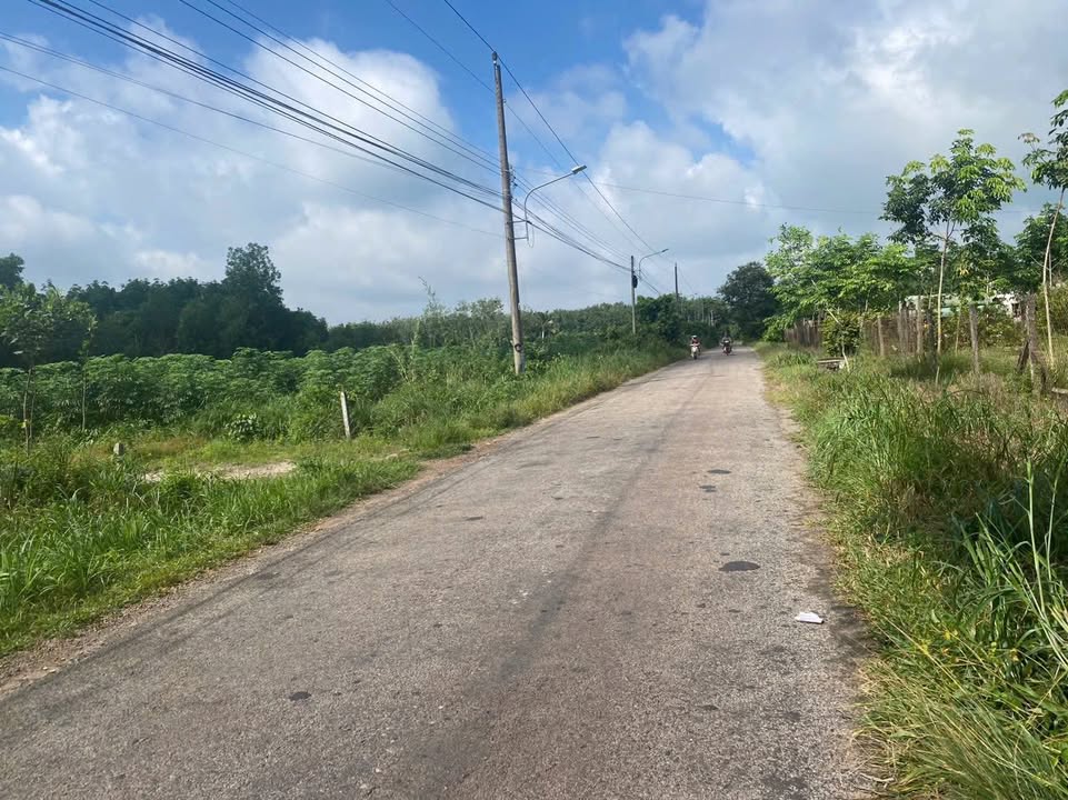 Đất nền Minh Thạnh, Dầu Tiếng, 150m² giá chỉ 300 triệu - Đầu tư sinh lời ngay!