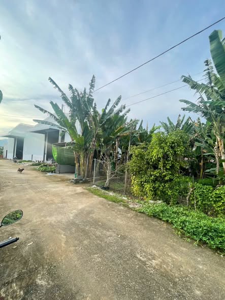 Lô đất Hòa Long Bà Rịa 401m² giá chỉ 2.4 tỷ - Đường xe hơi vào tận nơi!